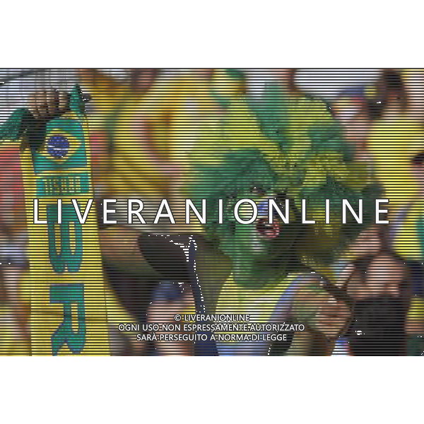 Francoforte 01-07-2006 World Cup Germany 2006 brasile-francia 0:1 nella foto tifo ph marco luzzani/ag aldo liverani s.a.s.