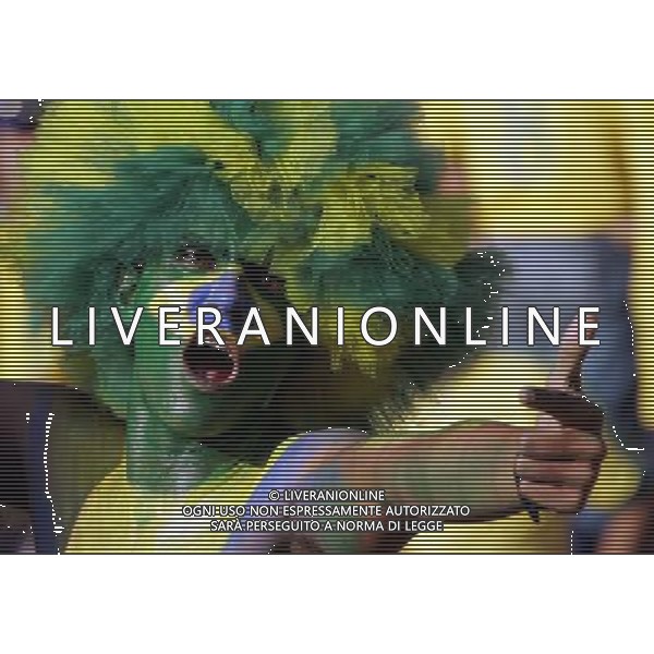 Francoforte 01-07-2006 World Cup Germany 2006 brasile-francia 0:1 nella foto tifo ph marco luzzani/ag aldo liverani s.a.s.