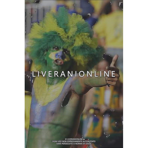 Francoforte 01-07-2006 World Cup Germany 2006 brasile-francia 0:1 nella foto tifo ph marco luzzani/ag aldo liverani s.a.s.