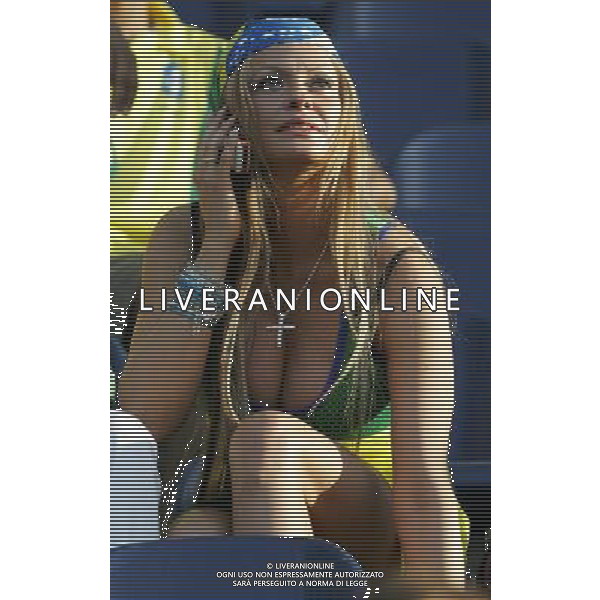 Francoforte 01-07-2006 World Cup Germany 2006 brasile-francia 0:1 nella foto tifo ph marco luzzani/ag aldo liverani s.a.s.