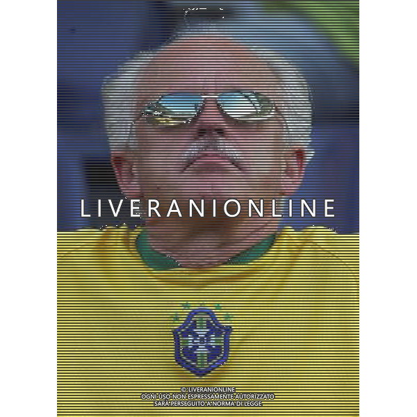 Francoforte 01-07-2006 World Cup Germany 2006 brasile-francia 0:1 nella foto tifo ph marco luzzani/ag aldo liverani s.a.s.