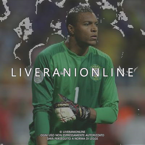 Francoforte 01-07-2006 World Cup Germany 2006 brasile-francia 0:1 nella foto dida nelson ph marco luzzani/ag aldo liverani s.a.s.