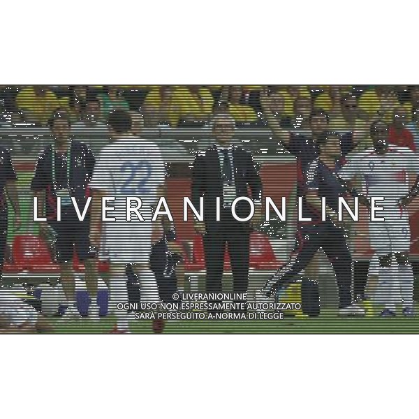 Francoforte 01-07-2006 World Cup Germany 2006 brasile-francia 0:1 nella foto domenech raymond ph marco luzzani/ag aldo liverani s.a.s.