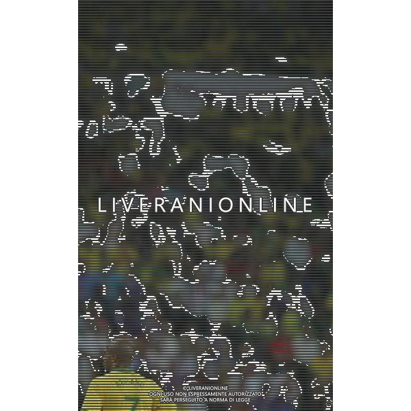 Francoforte 01-07-2006 World Cup Germany 2006 brasile-francia 0:1 nella foto adriano ph marco luzzani/ag aldo liverani s.a.s.