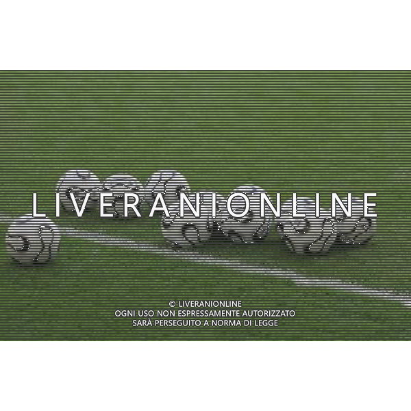 Francoforte 01-07-2006 World Cup Germany 2006 brasile-francia 0:1 nella foto palloni ph marco luzzani/ag aldo liverani s.a.s.