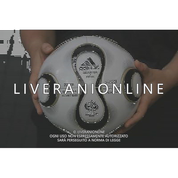 Francoforte 01-07-2006 World Cup Germany 2006 brasile-francia 0:1 nella foto pallone ph marco luzzani/ag aldo liverani s.a.s.