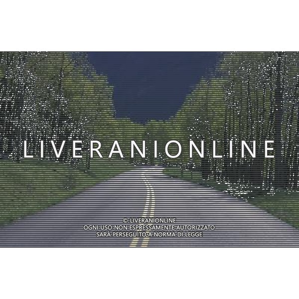 ARCHIVIO ALDO LIVERANI NELLA FOTO STRADE E AUTOSTRADE AMERICANE AGENZIA ALDO LIVERANI