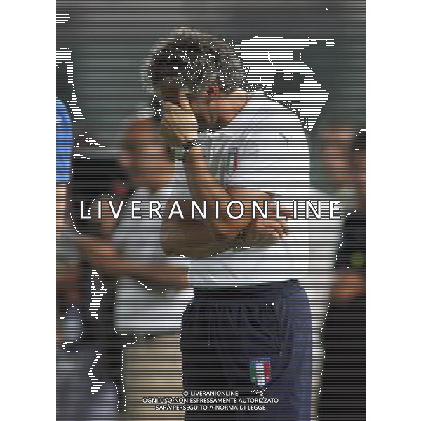 Livorno (Li) 16/08/2006 Amichevole Italia-Croazia allo stadio Armando Picchi Nella foto: Donadoni Roberto.* Ph Gianni Nucci/Agenzia Aldo Liverani