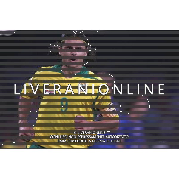 Italia - Lituania qualificazione europei a Napoli 02/09/2006 nella foto esultanza dopo il gol di danilevicius * ph gianni nucci/ag: aldo liverani