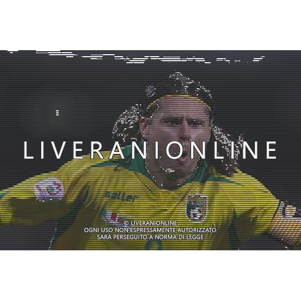 Italia - Lituania qualificazione europei a Napoli 02/09/2006 nella foto esultanza dopo il gol di danilevicius * ph gianni nucci/ag: aldo liverani