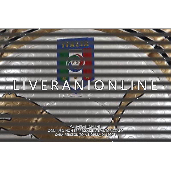 Italia - Lituania qualificazione europei a Napoli 02/09/2006 nella foto il nuovo pallone della puma con lo stemma dell\'italia con le quattro stelle * ph gianni nucci/ag: aldo liverani