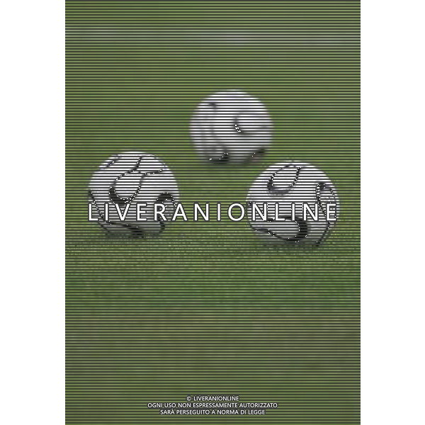 Parigi (FRA) 06-09-2006 qualificazione europei EURO 2008 francia-italia 3:1 nella foto palloni ph marco luzzani/ag aldo liverani s.a.s.