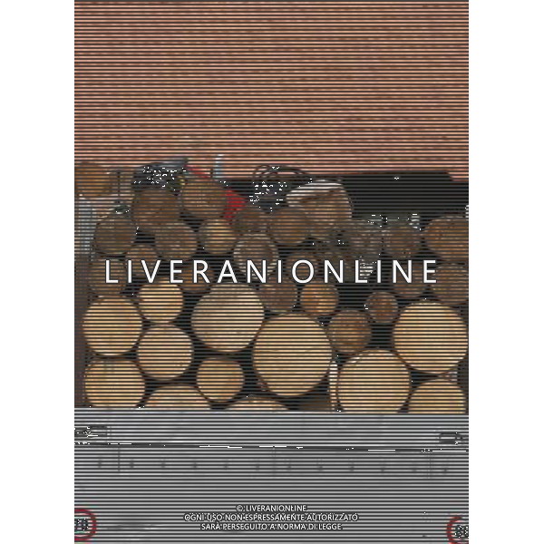 ALTO ADIGE 2007 NELLA FOTO LEGNO-LEGNAMI-TRONCHI D\'ALBERO-SEGHERIA IFC-AGENZIA ALDO LIVERANI