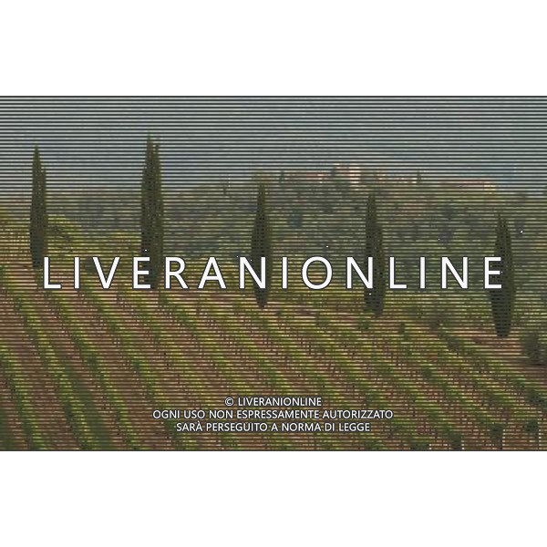 NELLA FOTO SAn Gimignano, Tuscany, Italy, AGENZIA ALDO LIVERANI IFC