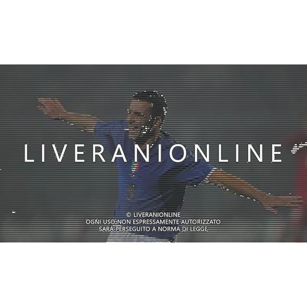 Bergamo 15 novembre 2006 Italia-Turchia amichevole nella foto: esultanza dopo il gol Di Natale Antonio foto Andry / Ag. Aldo Liverani