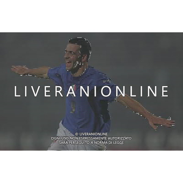 Bergamo 15 novembre 2006 Italia-Turchia amichevole nella foto: esultanza dopo il gol Di Natale Antonio foto Andry / Ag. Aldo Liverani