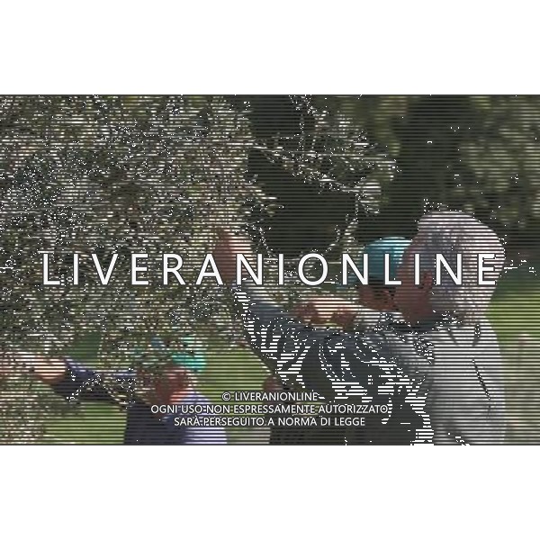 CETONA SIENA 2006 OLIVICOLTORI DELLE COLLINE DEL CETONA NELLA FOTO RACCOLTA OLIVE IFC-AGENZIA ALDO LIVERANI