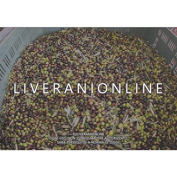 CETONA SIENA 2006 OLIVICOLTORI DELLE COLLINE DEL CETONA NELLA FOTO DEPOSITI BINS CASSONI FENESTRATI PER LE OLIVE IFC-AGENZIA ALDO LIVERANI