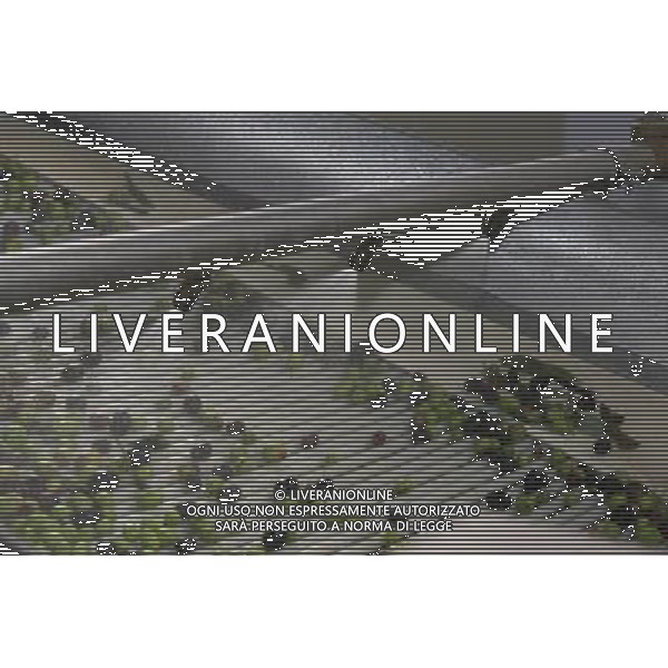 CETONA SIENA 2006 OLIVICOLTORI DELLE COLLINE DEL CETONA NELLA FOTO LAVAGGIO DELLE OLIVE IFC-AGENZIA ALDO LIVERANI