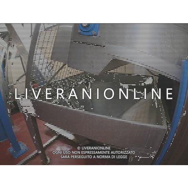 CETONA SIENA 2006 OLIVICOLTORI DELLE COLLINE DEL CETONA NELLA FOTO LAVAGGIO DELLE OLIVE IFC-AGENZIA ALDO LIVERANI
