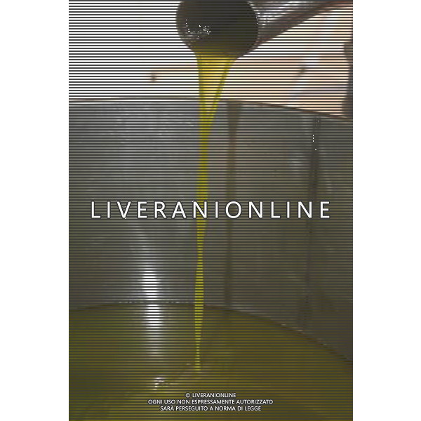 CETONA SIENA 2006 OLIVICOLTORI DELLE COLLINE DEL CETONA NELLA FOTO L\'OLIO DIVISO DALL\'ACQUA PRONTO PER L\'IMBOTTIGLIAMENTO IFC-AGENZIA ALDO LIVERANI