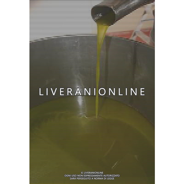 CETONA SIENA 2006 OLIVICOLTORI DELLE COLLINE DEL CETONA NELLA FOTO L\'OLIO DIVISO DALL\'ACQUA PRONTO PER L\'IMBOTTIGLIAMENTO IFC-AGENZIA ALDO LIVERANI