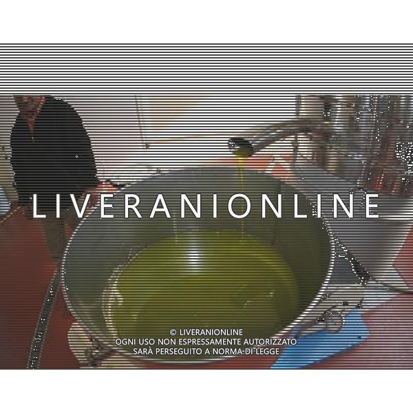 CETONA SIENA 2006 OLIVICOLTORI DELLE COLLINE DEL CETONA NELLA FOTO L\'OLIO EXTRA VERGINE D\'OLIVA IFC-AGENZIA ALDO LIVERANI