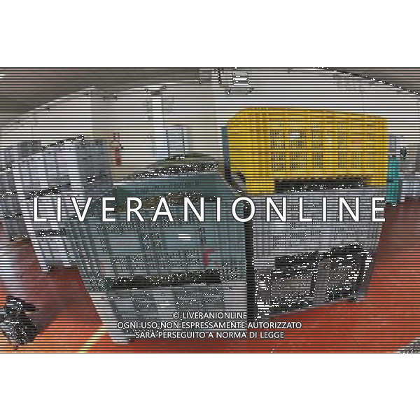 CETONA SIENA 2006 OLIVICOLTORI DELLE COLLINE DEL CETONA NELLA FOTO DEPOSITI BINS CASSONI FENESTRATI PER LE OLIVE IFC-AGENZIA ALDO LIVERANI