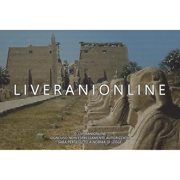 EGITTO ARCHIVIO ALDO LIVERANI NELLA FOTO EGITTO-LUXOR AGENZIA ALDOL IVERANI