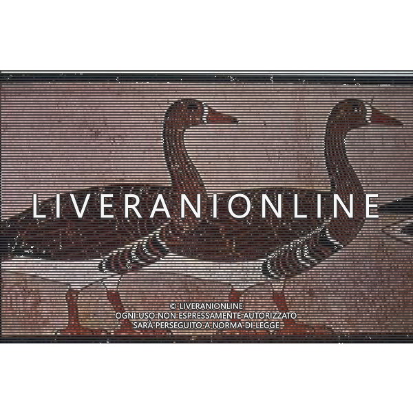 EGITTO ARCHIVIO ALDO LIVERANI NELLA FOTO EGITTO-PITTURA MURALE NEFERMAAT-MEIDUN AGENZIA ALDOL IVERANI