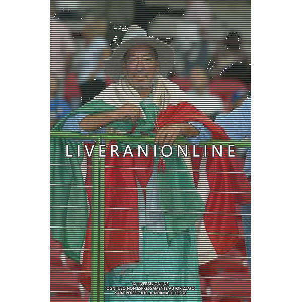 MILANO STADIO MEAZZA DI SAN SIRO 06/09/2003 ITALIA-GALLES QUALIFICAZIONI EURO 2004 NELLA FOTO TIFOSO DELL\'ITALIA* FOTO ALDO LIVERANI ATT. NICOLIN