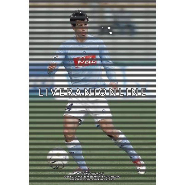 Parma 07/12/2006 Coppa Italia TIM CUP 2006/07 parma-napoli 3:1 nella foto garics gyorgy ph arco luzzani/ag aldo liverani s.a.s.