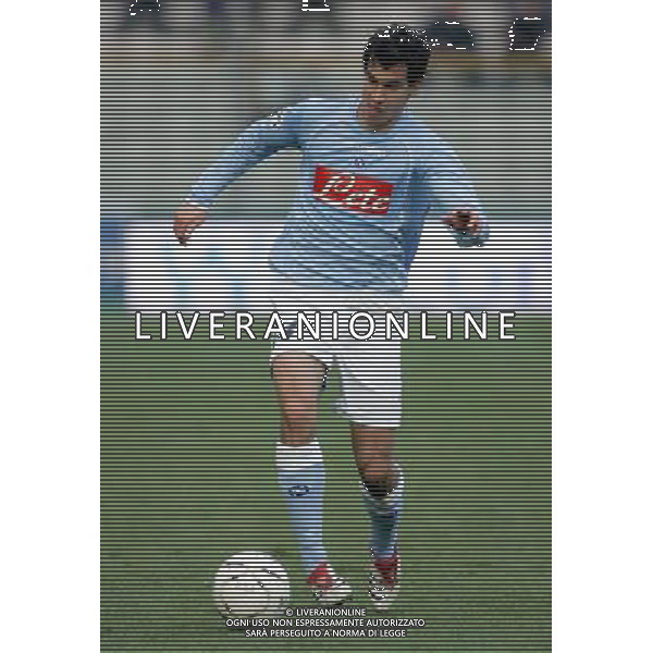 Parma 07/12/2006 Coppa Italia TIM CUP 2006/07 parma-napoli 3:1 nella foto garics gyorgy ph arco luzzani/ag aldo liverani s.a.s.