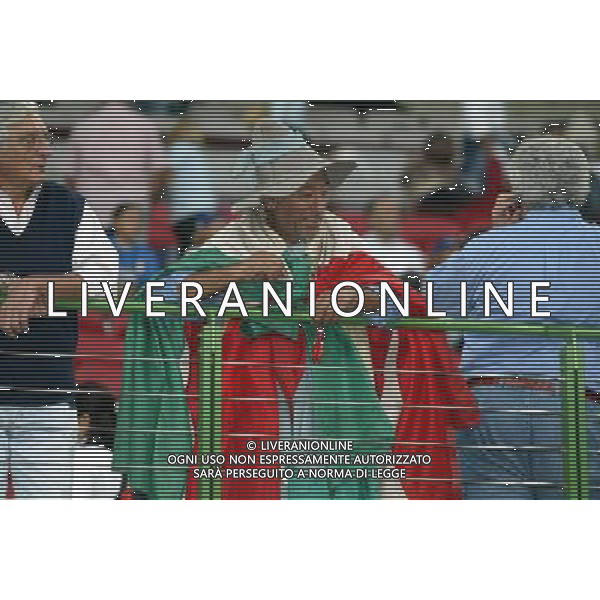 Milano 06/09/2003 Italia-Galles Nella foto: Tifoso dell\'Italia Ph Gianni Nucci/Aldo Liverani