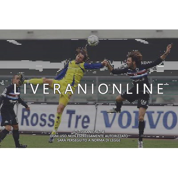 Chievo - Sampdoria Coppa Italia Tim Cup 17/01/2006 nella foto Kosowsky con gennaro delvecchio ph garbuio/ag. aldo liverani