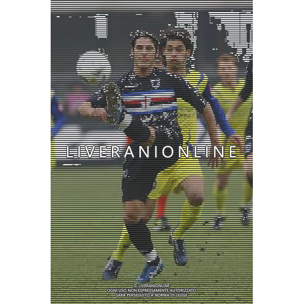 VERONA 17/01/2007 SERIE A TIM CUP CHIEVO-SAMPDORIA NELLA FOTO:ACCARDI PIETRO FOTO PAOLA GARBUIO/AG.ALDO LIVERANI