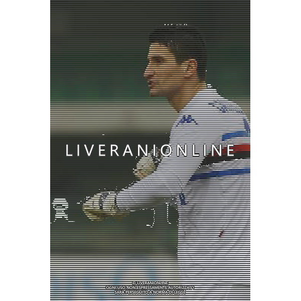 VERONA 17/01/2007 SERIE A TIM CUP CHIEVO-SAMPDORIA NELLA FOTO:CASTELLAZZI LUCA FOTO PAOLA GARBUIO/AG.ALDO LIVERANI