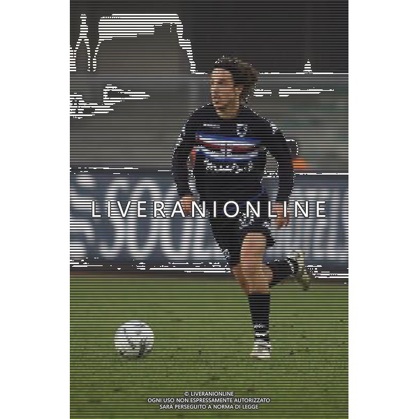 VERONA 17/01/2007 SERIE A TIM CUP CHIEVO-SAMPDORIA NELLA FOTO:FRANCESCHINI DANIELE FOTO PAOLA GARBUIO/AG.ALDO LIVERANI