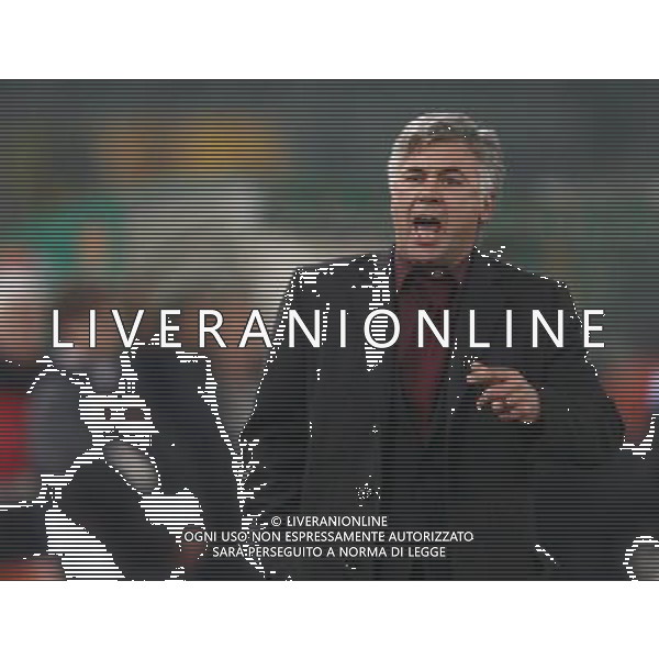 Roma - Milan 31 / 01 / 2007 - Coppa Italia TIM CUP Semifinale ritorno nella foto: carlo Ancelotti protesta con l\'assistente dell\'arbitro Rizzoli per la posizione di Totti sul gol di Perrotta ph Corradetti / ag. Aldo Liverani