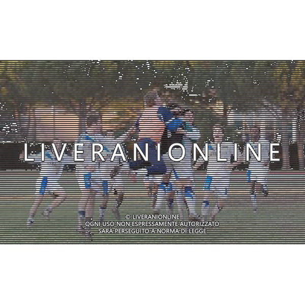 59¡Torneo Mondiale di Calcio Giovanile \'Coppa Carnevale\' di Viareggio - San Giuliano Terme(PI) - 15.02.2007 Atalanta - Empoli Nella Foto:Ph.Vitez/Festeggiamenti Empoli agenzia aldo liverani