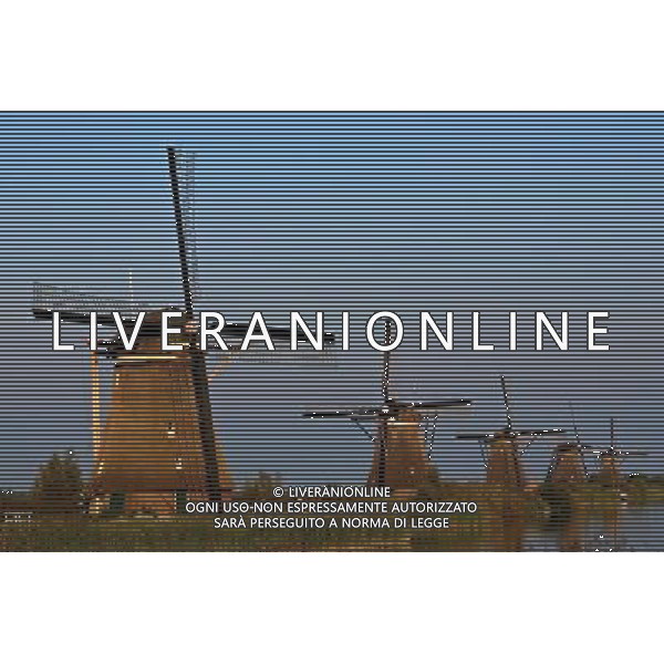 ARCHIVIO ALDO LIVERANI S A S NELLA FOTO I MULINI A VENTO IN OLANDA IFC-AGENZIA ALDO LIVERANI 
