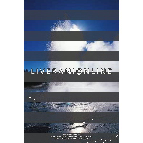 ARCHIVIO ALDO LIVERANI 2007 NELLA FOTO UN GEYSER FONTE TERMALE IFC-AGENZIA ALDO LIVERANI