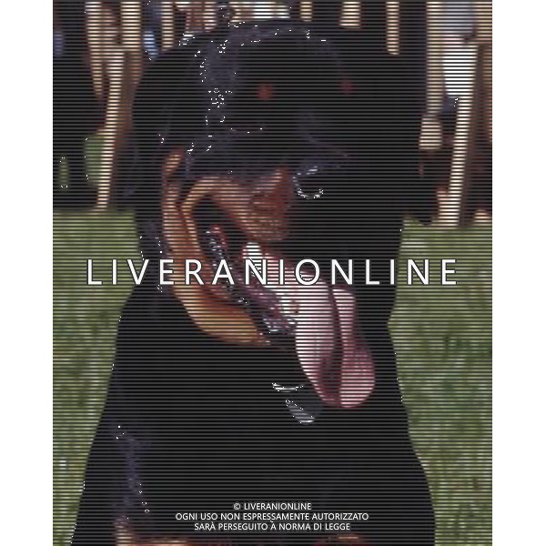 CANE - ROTTWEILER PH ARCHIVIO ALDO LIVERANI