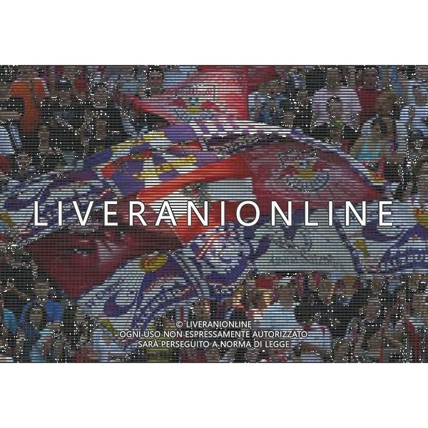 Salisburgo 28/04/2007 T-Mobile Bundelisga 2006/07 Red Bull Salzburg-FK Austria Magna nella foto tifo red bull salzburg ph aldo liverani/ag aldo liverani s.a.s.