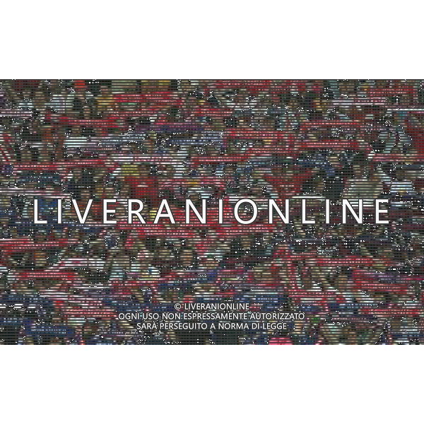 Salisburgo 28/04/2007 T-Mobile Bundelisga 2006/07 Red Bull Salzburg-FK Austria Magna nella foto tifo red bull salzburg ph aldo liverani/ag aldo liverani s.a.s.