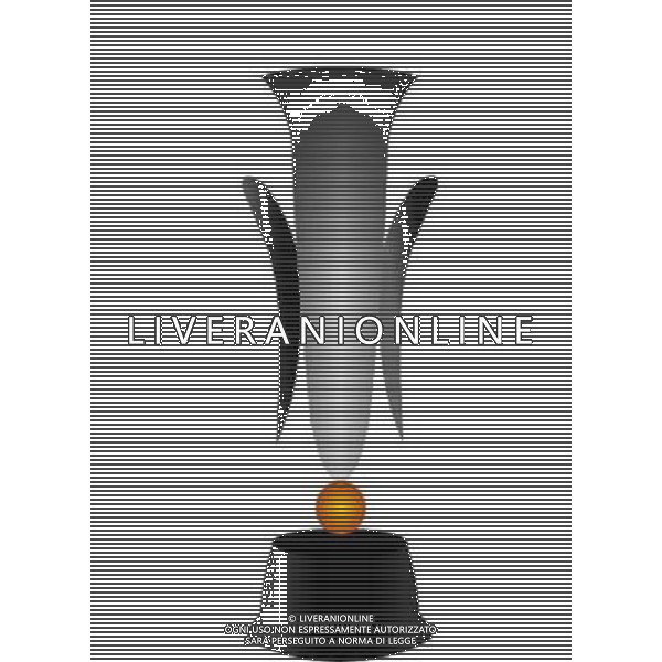 INTERNATIONAL FOOTBALL ITALIAN LEAGUE / 1960-1961 nella foto la coppa delle fiere AG ALDO LIVERANI