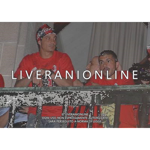 MILANO 24/5/2007 PIAZZA DUOMO FESTA DEL MILAN PER LA VITTORIA IN CHAMPIONS LEAGUE NELLA FOTO MASSIMO ODDO E GENNARO GATTUSO FOTO ROMANO-FRANKY/AG ALDO LIVERANI