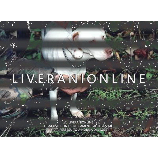 RACCOLTA DEL TARTUFO BIANCO / CANE FOTO DANILO RECALCATI/AGENZIA ALDO LIVERANI