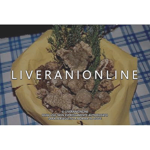 RACCOLTA DEL TARTUFO BIANCO FOTO DANILO RECALCATI/AGENZIA ALDO LIVERANI