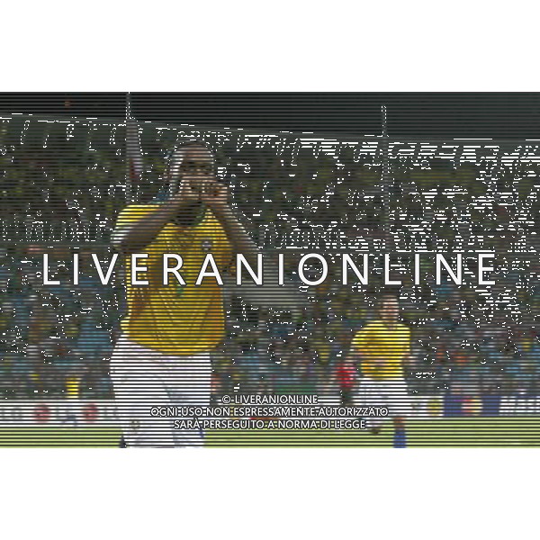 INTERNATIONAL FOOTBALL COPA AMERICA VENEZUELA 2007 BRAZIL-CHILE 6-1 (Stadium J. Antonio Anzoategui Puerto La Cruz ) VAGNER LOVE FESTEGGIA IL GOL DEL 6-1 ph GPG/ag aldo liverani s.a.s.